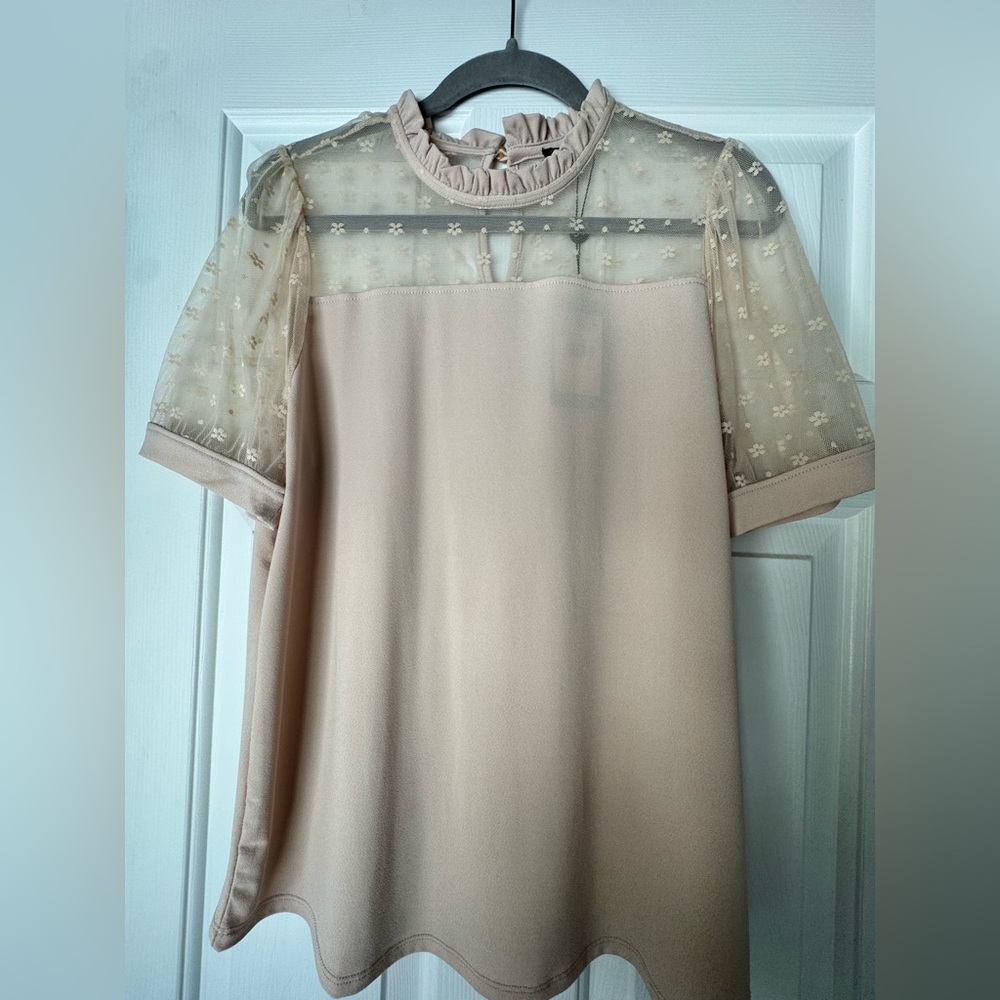 Adrianna Papell Champagne Blouse with Mesh Yoke